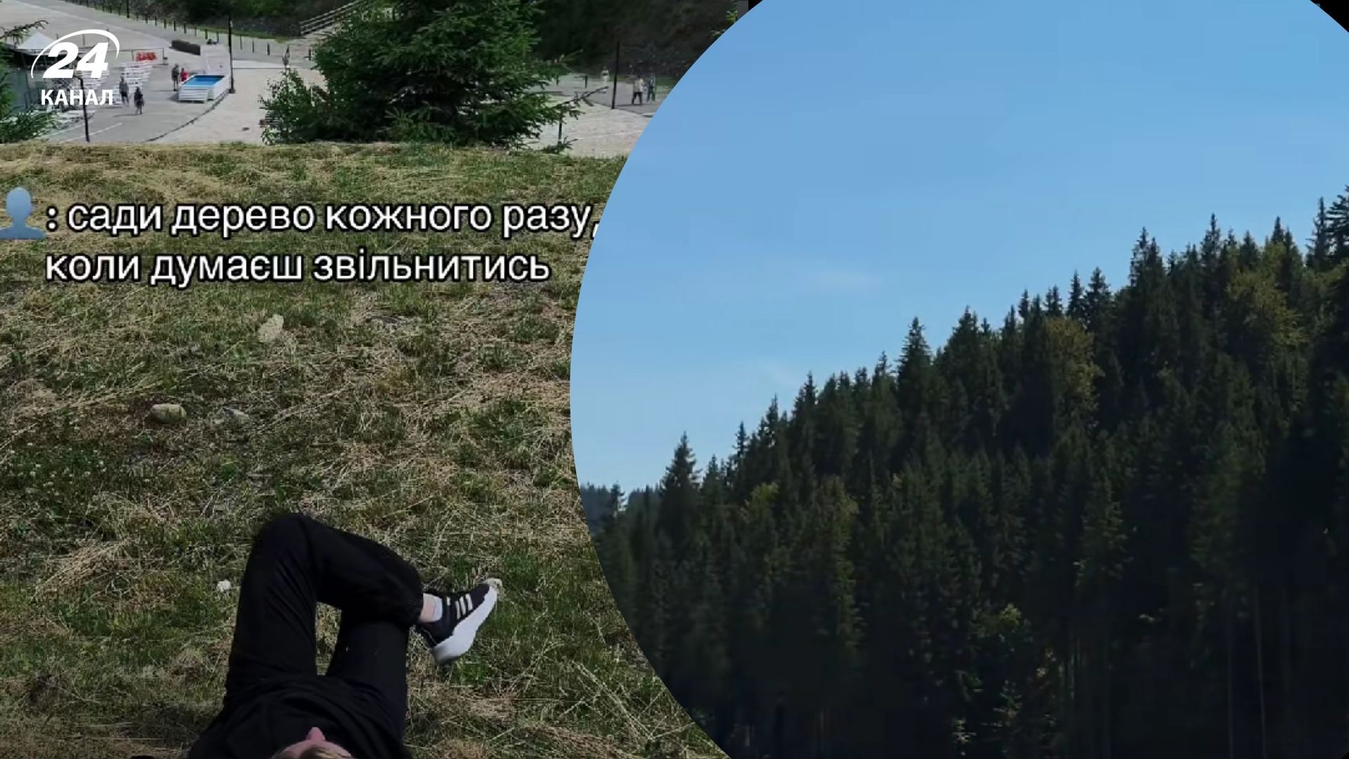 TikTok-тренд с деревьями захватил соцсеть: почему его снимают тысячи блогеров - Show24 TikTok-тренд с деревьями захватил соцсеть: почему его снимают тысячи блогеров - Show24