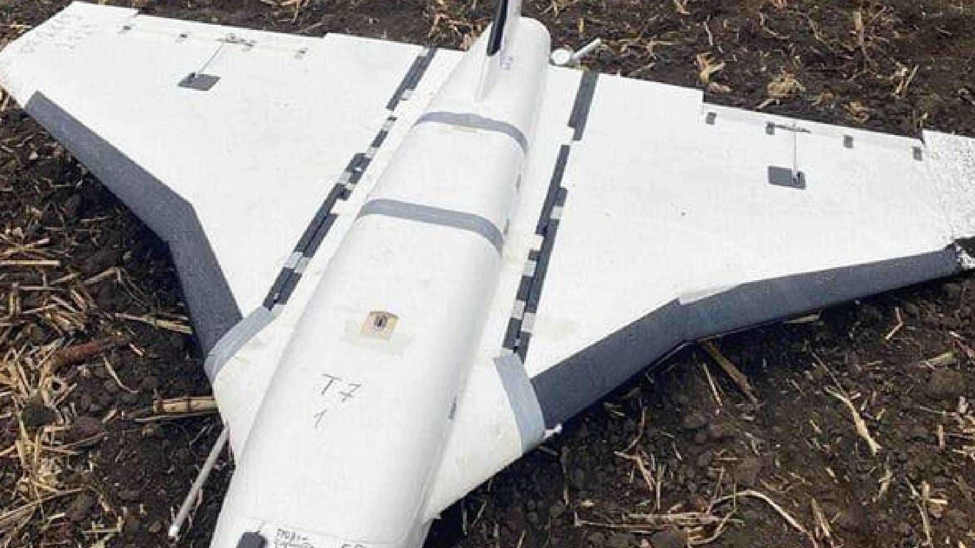 Оккупанты модернизировали Гербери Оккупанты модернизировали Гербери