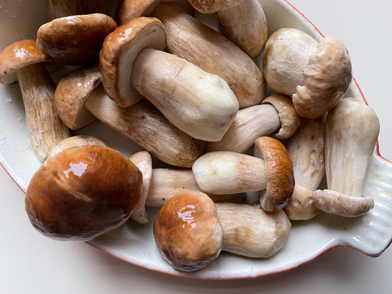 Готовим белые грибы вкусно и быстро Готовим белые грибы вкусно и быстро