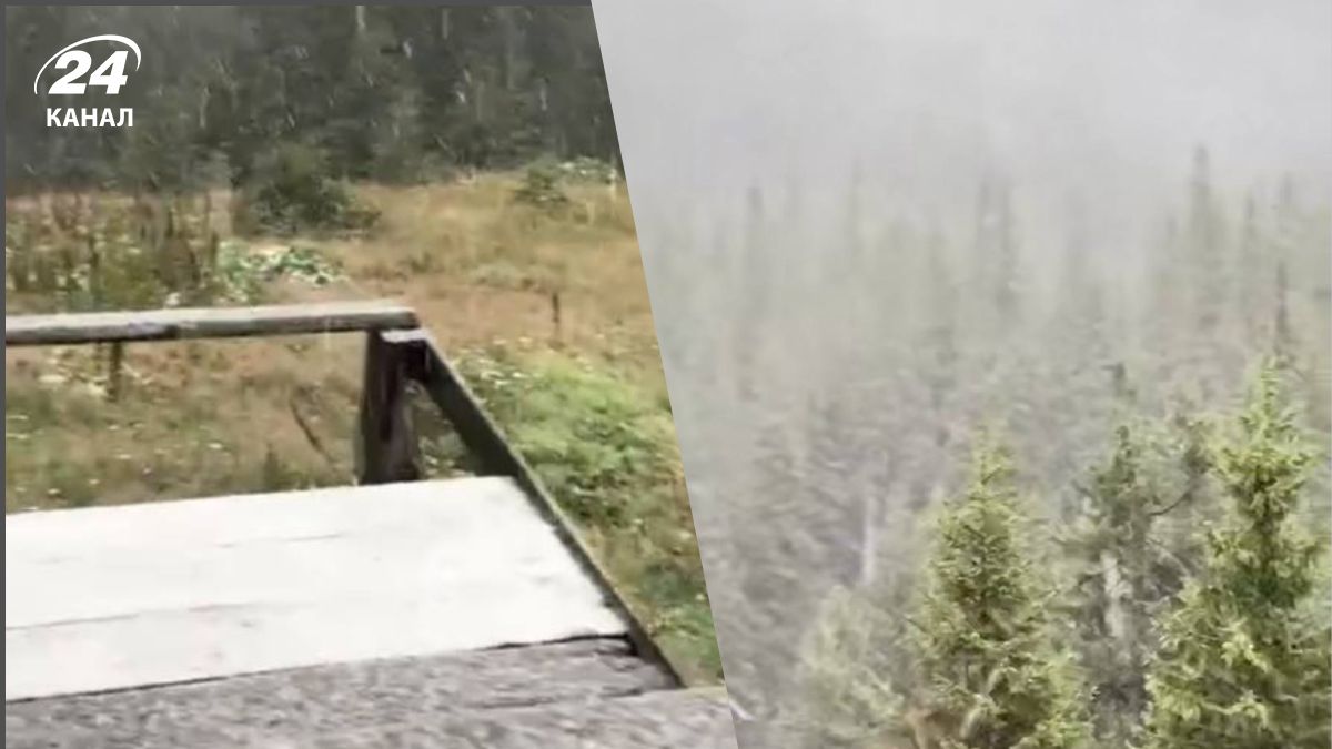 Снег в Украине Снег в Украине