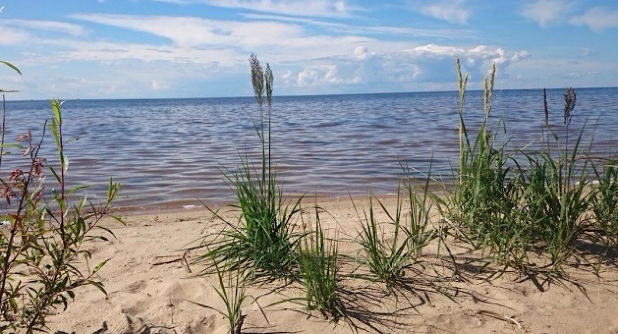 Над Чудським озером впав безпілотник Над Чудським озером впав безпілотник