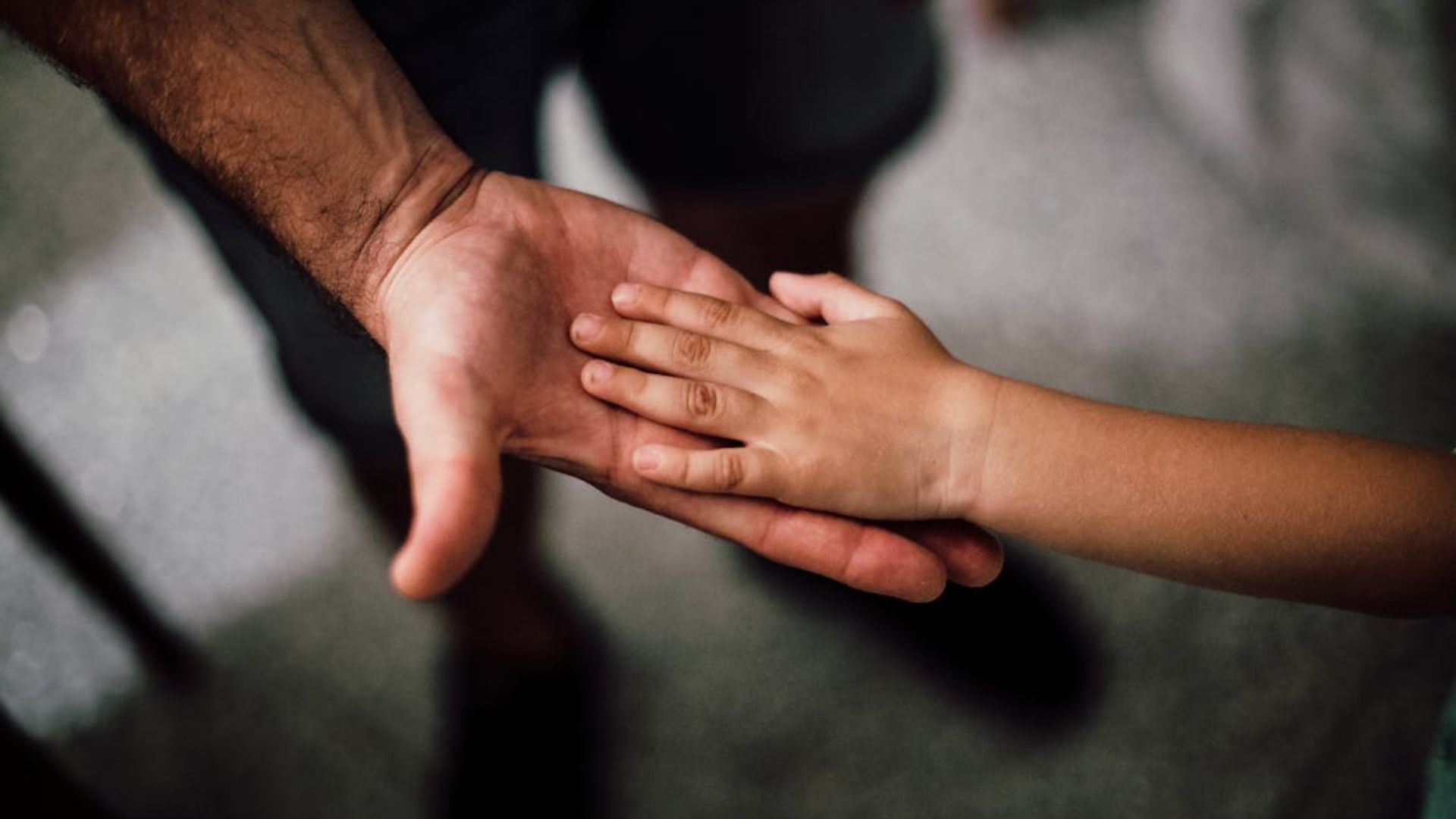 ГУР обнародовал данные о причастных к милитаризации украинских детей на ВОТ ГУР обнародовал данные о причастных к милитаризации украинских детей на ВОТ