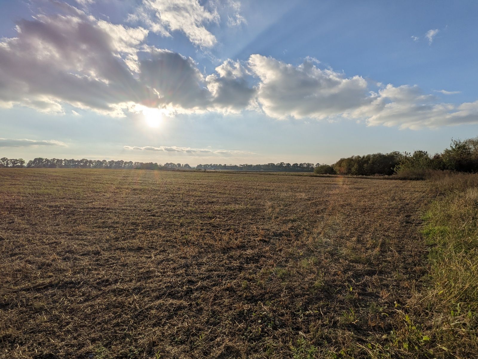 Оформлення спадщини на пай Оформлення спадщини на пай