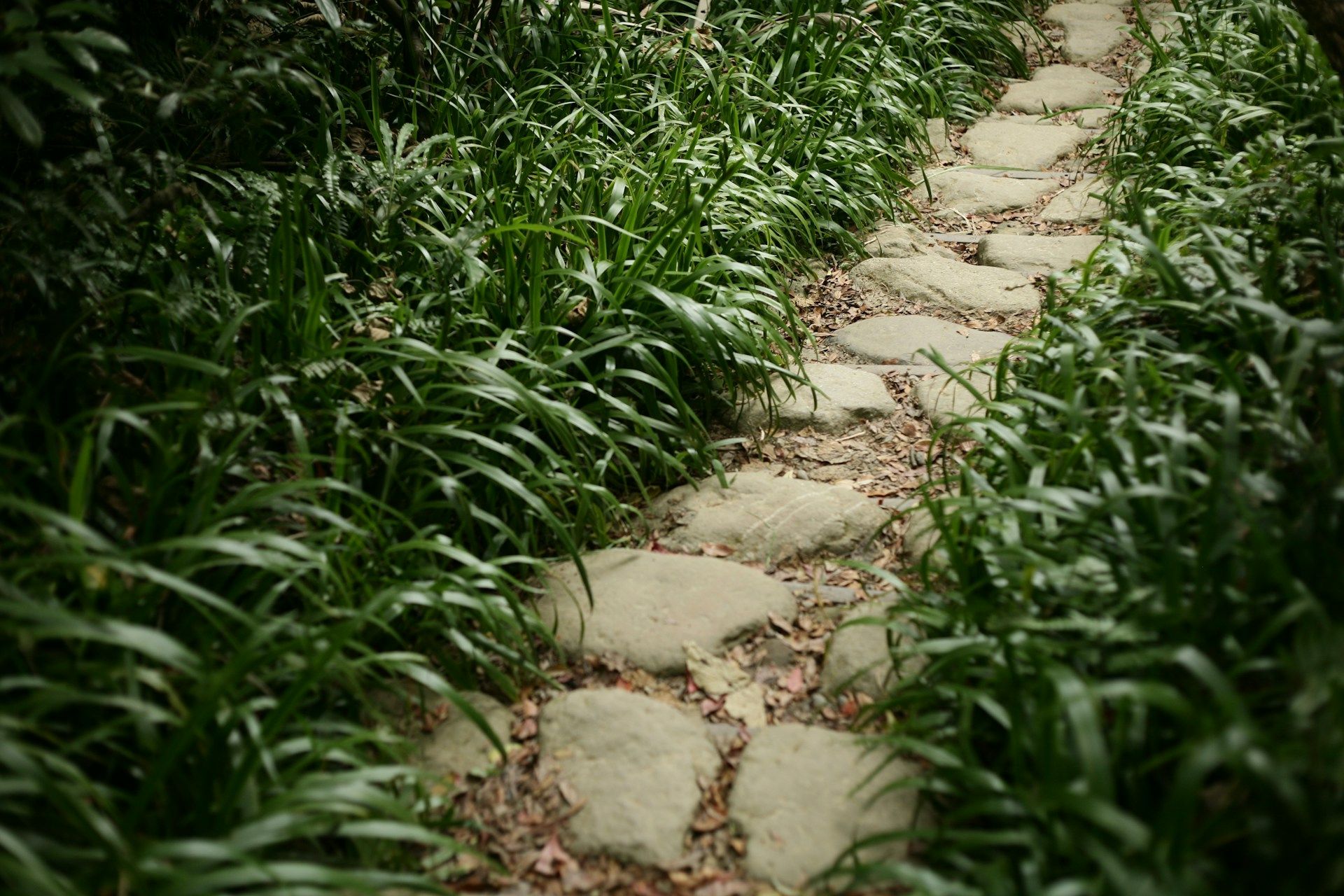 Як зробити бруківку своїми руками Як зробити бруківку своїми руками