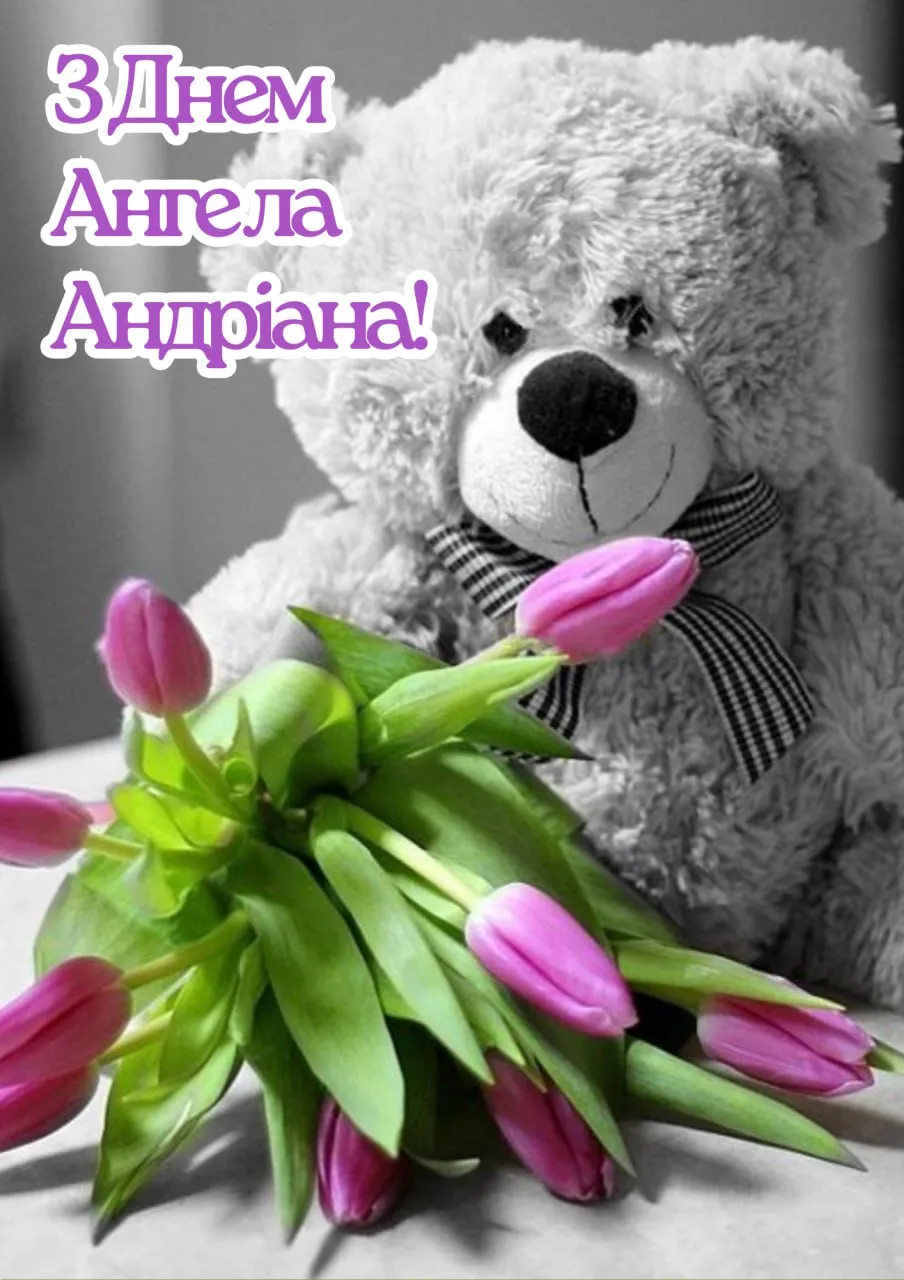 Привітання з Днем ангела Андріана 2025 Привітання з Днем ангела Андріана 2025
