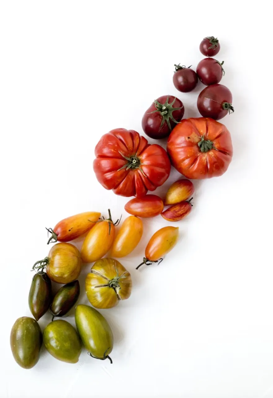 Лайфхак почервоніння помідорів Лайфхак почервоніння помідорів