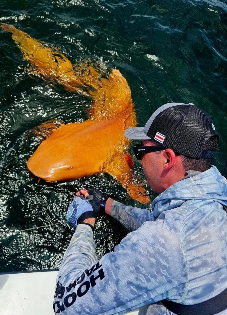 У Карибському морі виявили помаранчеву акулу