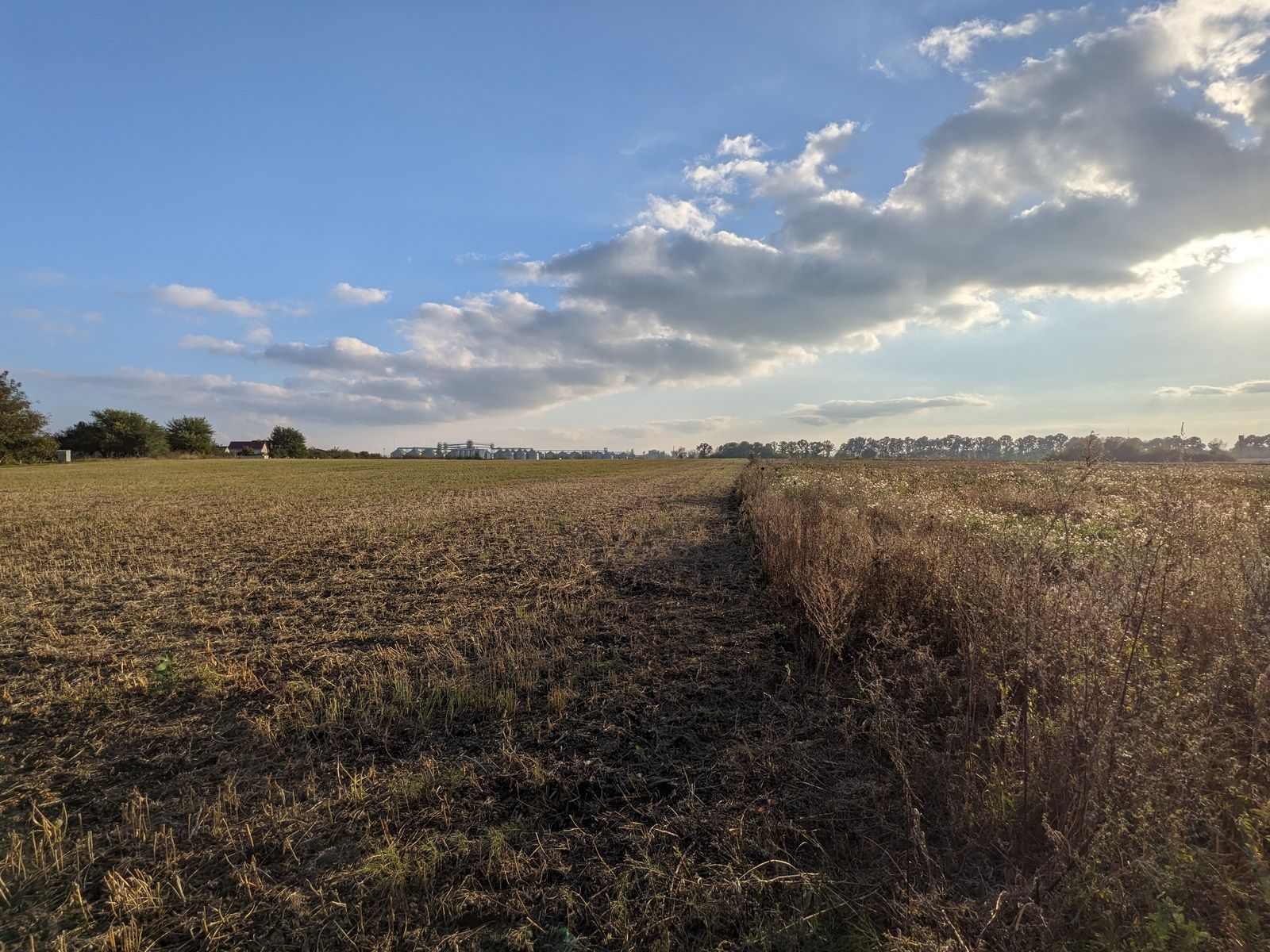 Скільки коштує гектар Скільки коштує гектар