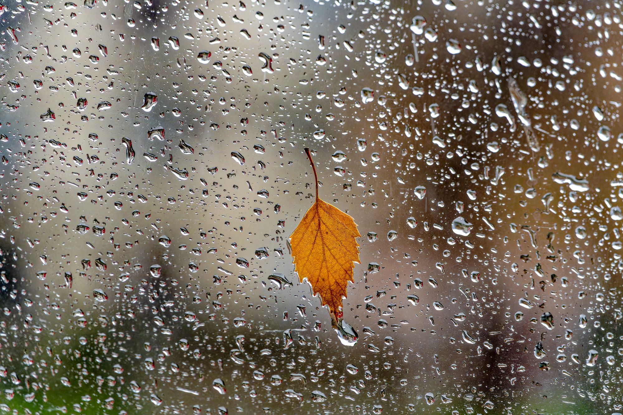 Циклон испортит погоду в Украине 1 сентября, – синоптик - 24 Канал Циклон испортит погоду в Украине 1 сентября, – синоптик - 24 Канал