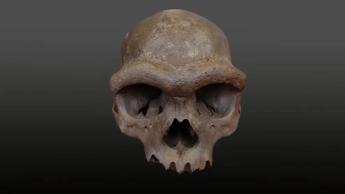 Череп денисівця з Китаю - як виглядала стародавня людина і хто наші родичі