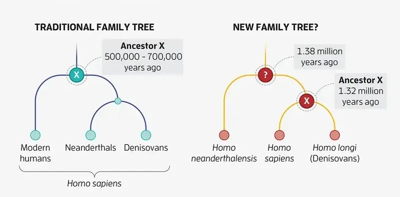 Старая и новая схемы эволюции человека