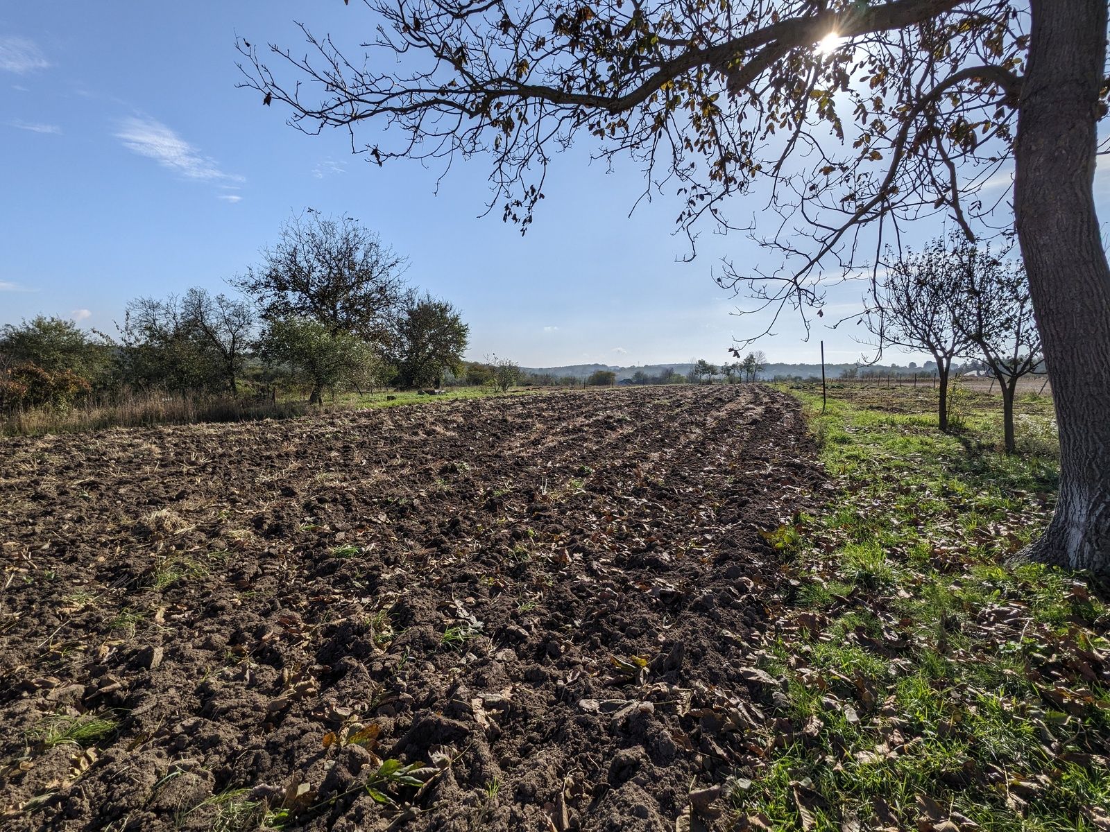 Сколько налога платить