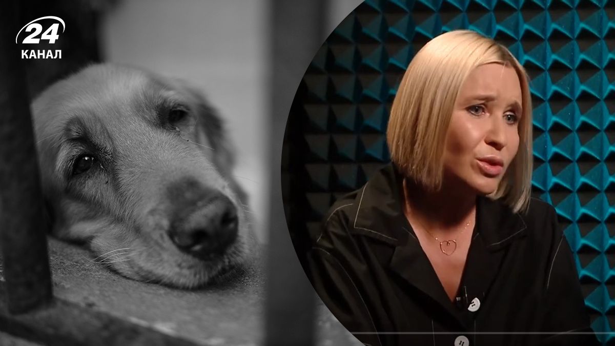 Волонтерка Катерина Ковальова розповіла про порятунок тварин з деокупованого Ірпеня Волонтерка Катерина Ковальова розповіла про порятунок тварин з деокупованого Ірпеня