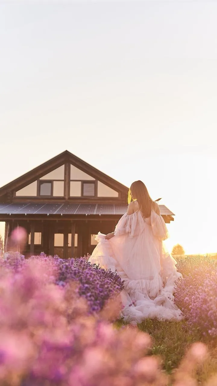 Лавандове поле Лавандове поле