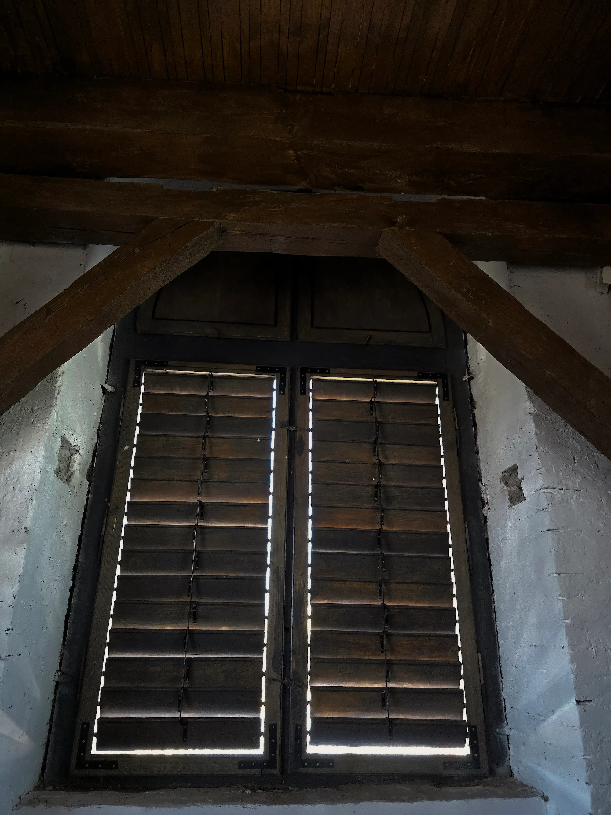 Оконницы Органного зала во Львове Оконницы Органного зала во Львове