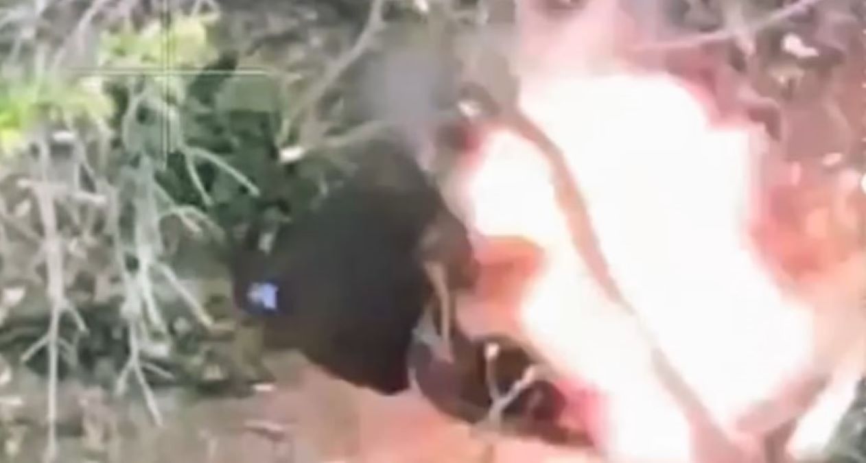 Захватчик отправил сам себя в категорию "300" Захватчик отправил сам себя в категорию "300"