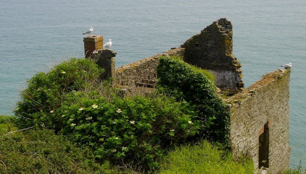 Приморское село захватило море
