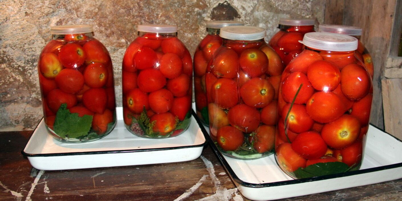 Квасим помидоры на зиму Квасим помидоры на зиму