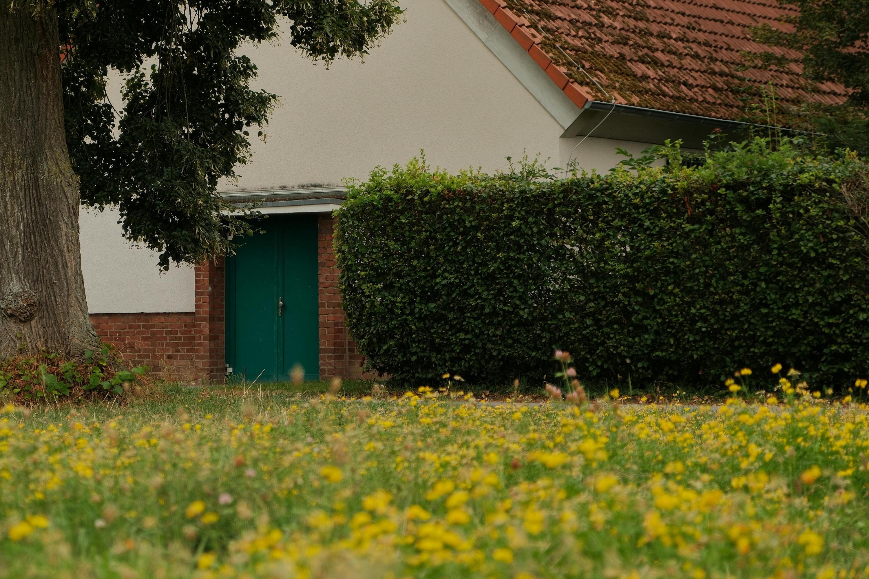 Як близько можна посадити дерево до забору Як близько можна посадити дерево до забору