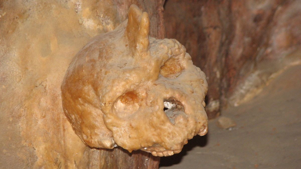 Вік і вид таємничого черепа з Греції – нове дослідження стародавньої людини Вік і вид таємничого черепа з Греції – нове дослідження стародавньої людини