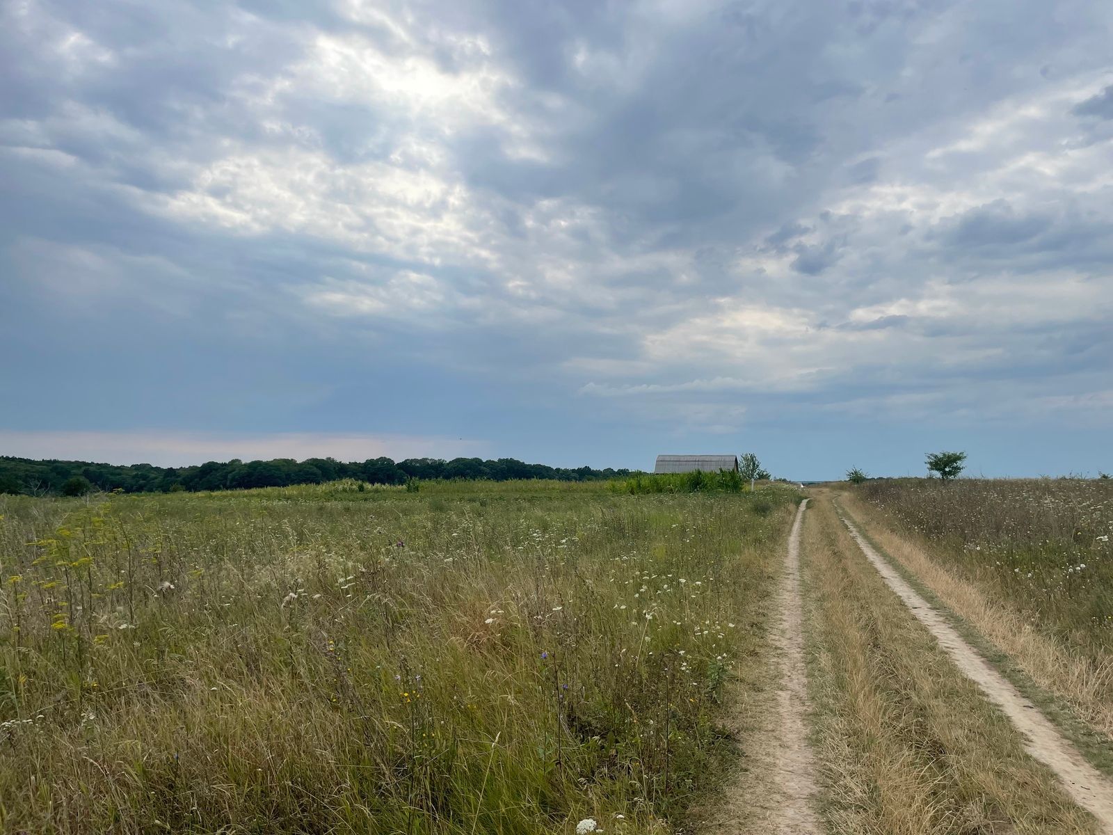 Как купить землю на электронных торгах Как купить землю на электронных торгах