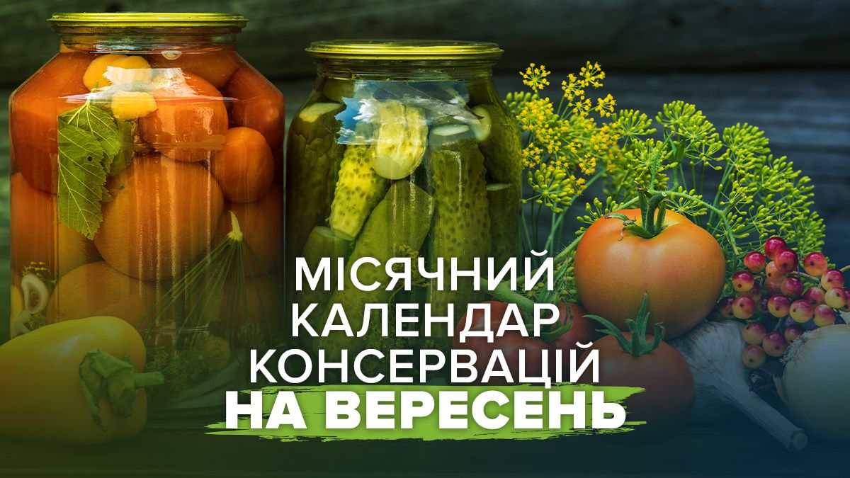 Календарь закруток на зиму - в какие дни в сентябре 2025 делать консервацию Календарь закруток на зиму - в какие дни в сентябре 2025 делать консервацию