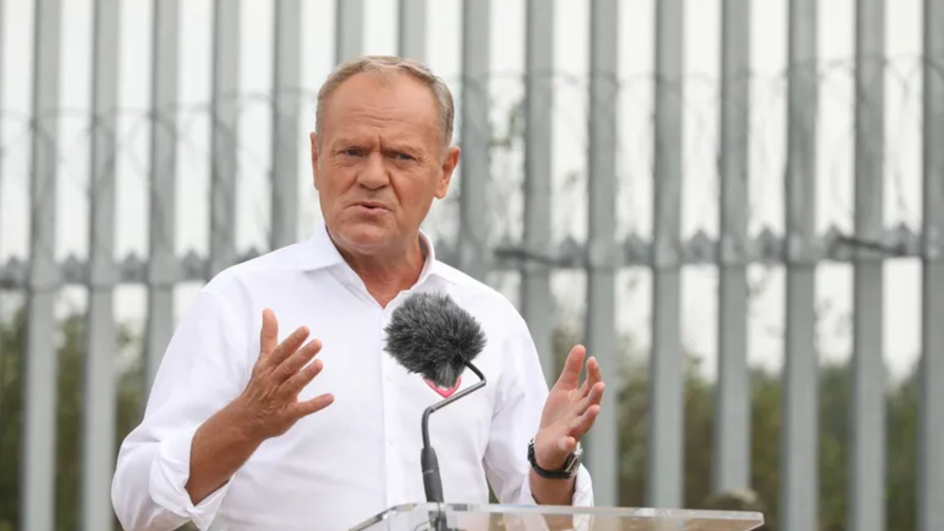 Дональд Туск Дональд Туск