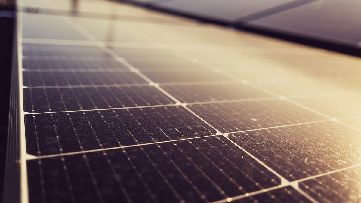 Біоматеріал з цибулі для сонячних панелей – нова технологія захисту Біоматеріал з цибулі для сонячних панелей – нова технологія захисту