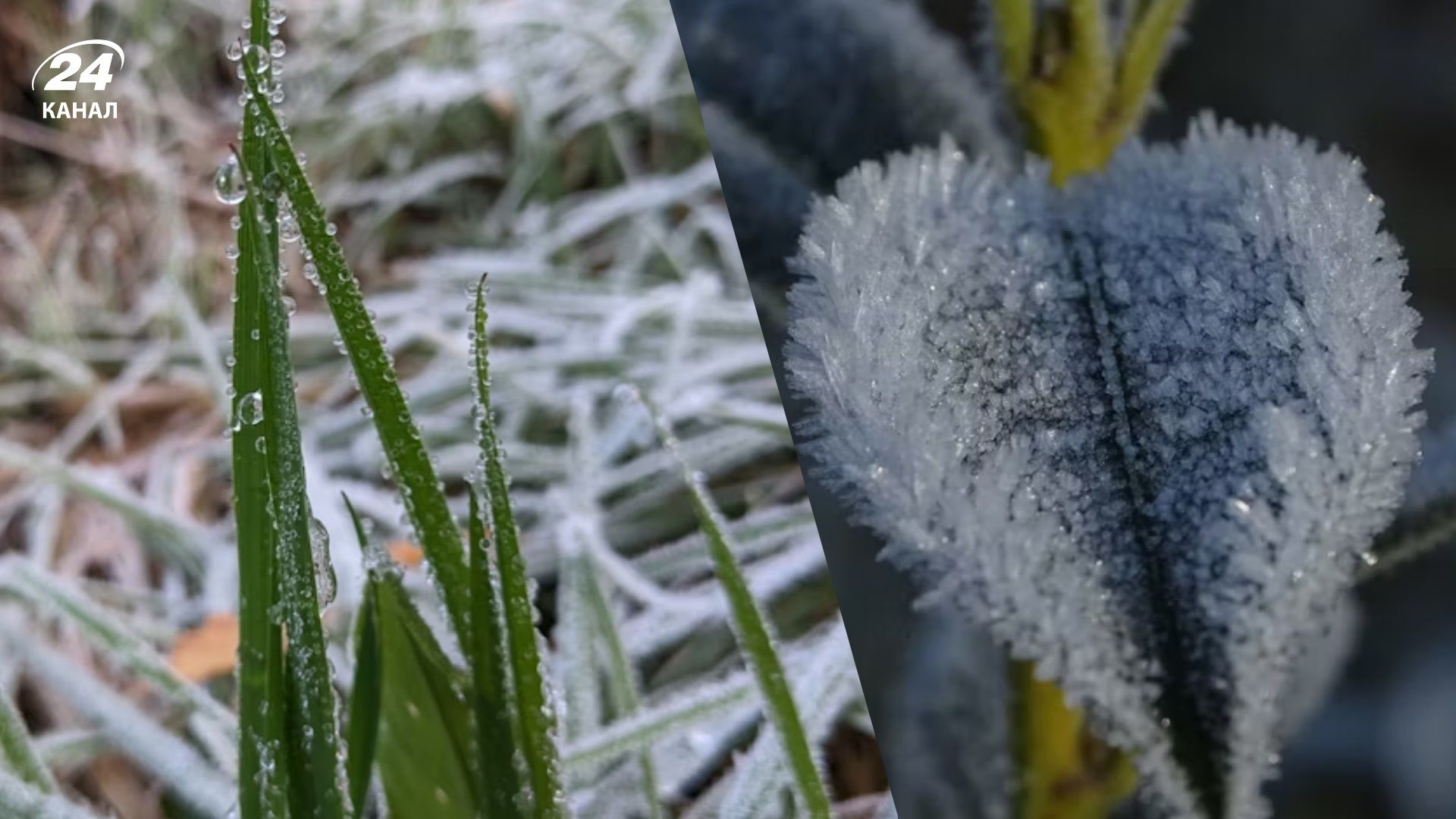 По Украине ударят заморозки: когда в Украине похолодает - 24 Канал По Украине ударят заморозки: когда в Украине похолодает - 24 Канал
