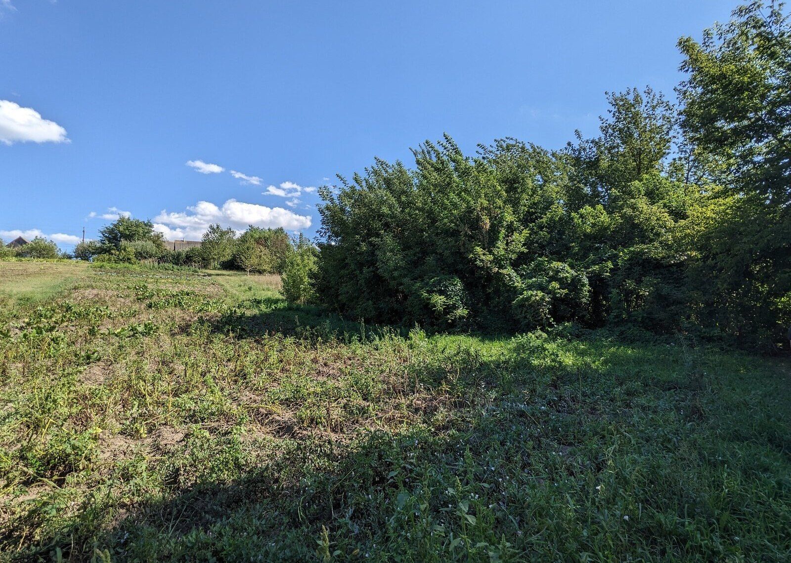 Могут ли забрать огород Могут ли забрать огород