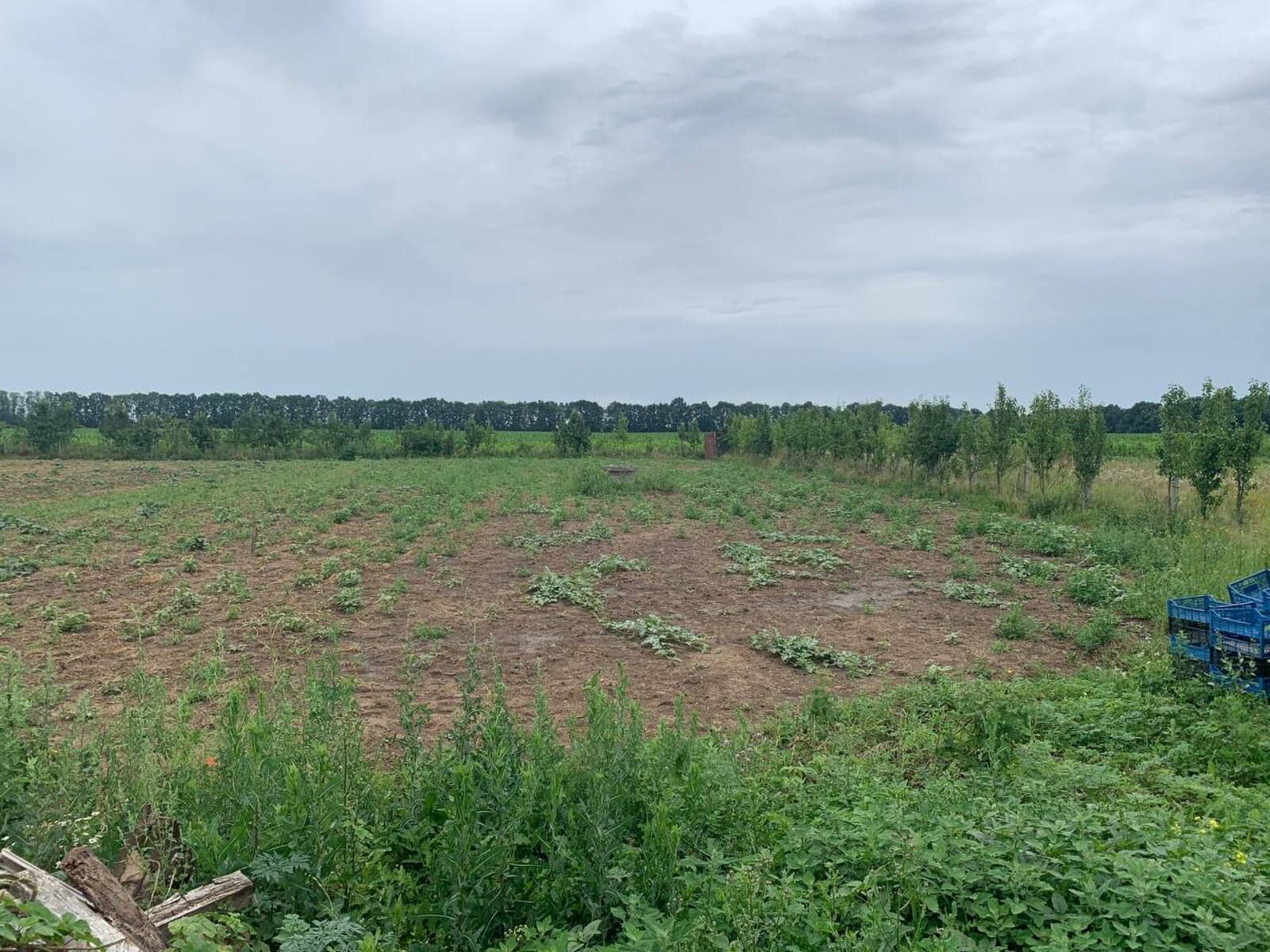 Як розділити землю