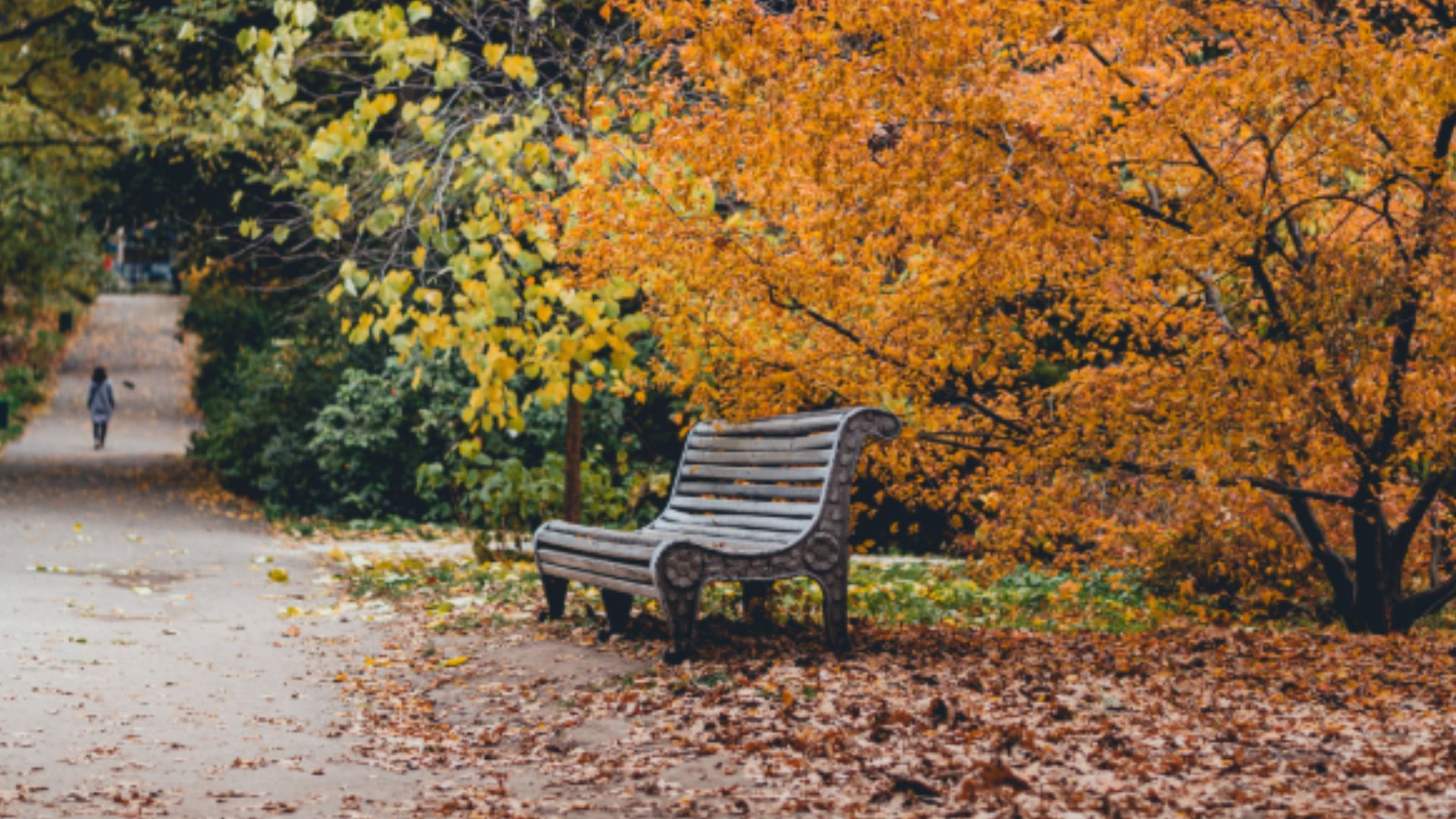 Осінь в Україні Осінь в Україні