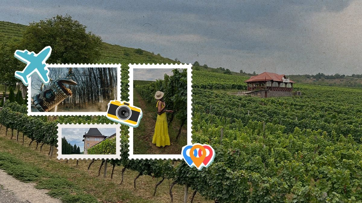 Вікенд на Закарпатті: виноградники, дегустації та релакс у термальних джерелах