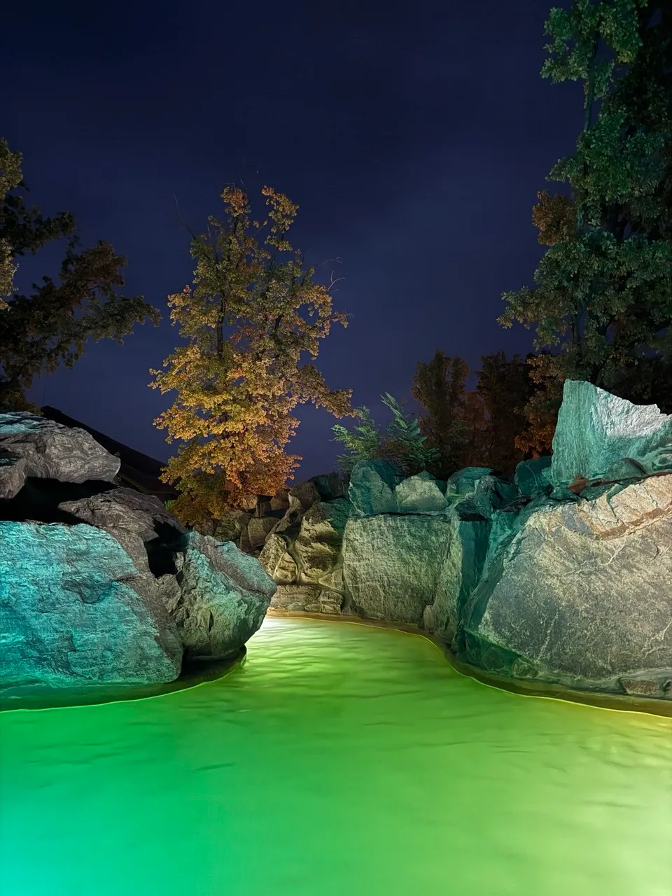 Термальні води Косино