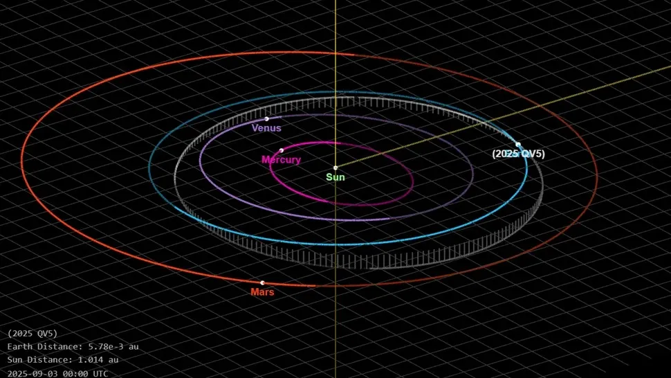 Орбіта 2025 QV5 навколо Сонця проходить поблизу Землі та Венери Орбіта 2025 QV5 навколо Сонця проходить поблизу Землі та Венери
