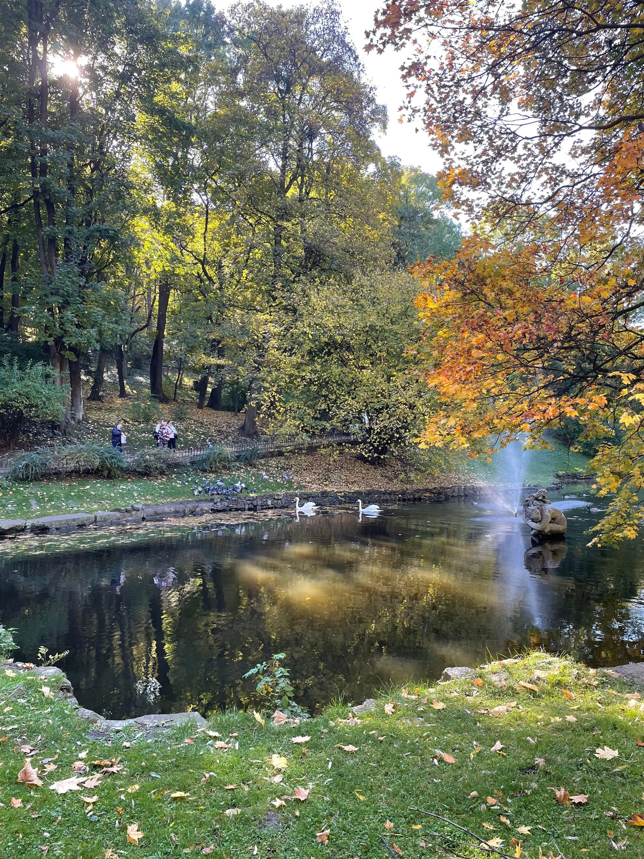 Стрыйский парк во Львове Стрыйский парк во Львове