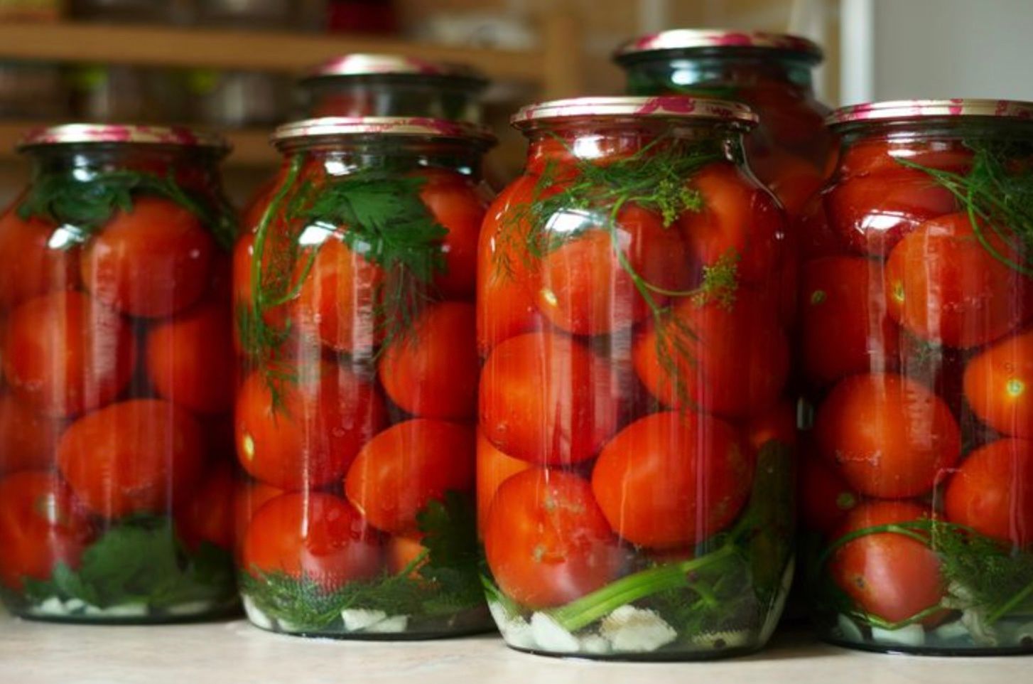 Квашені помідори за 3 дні Квашені помідори за 3 дні