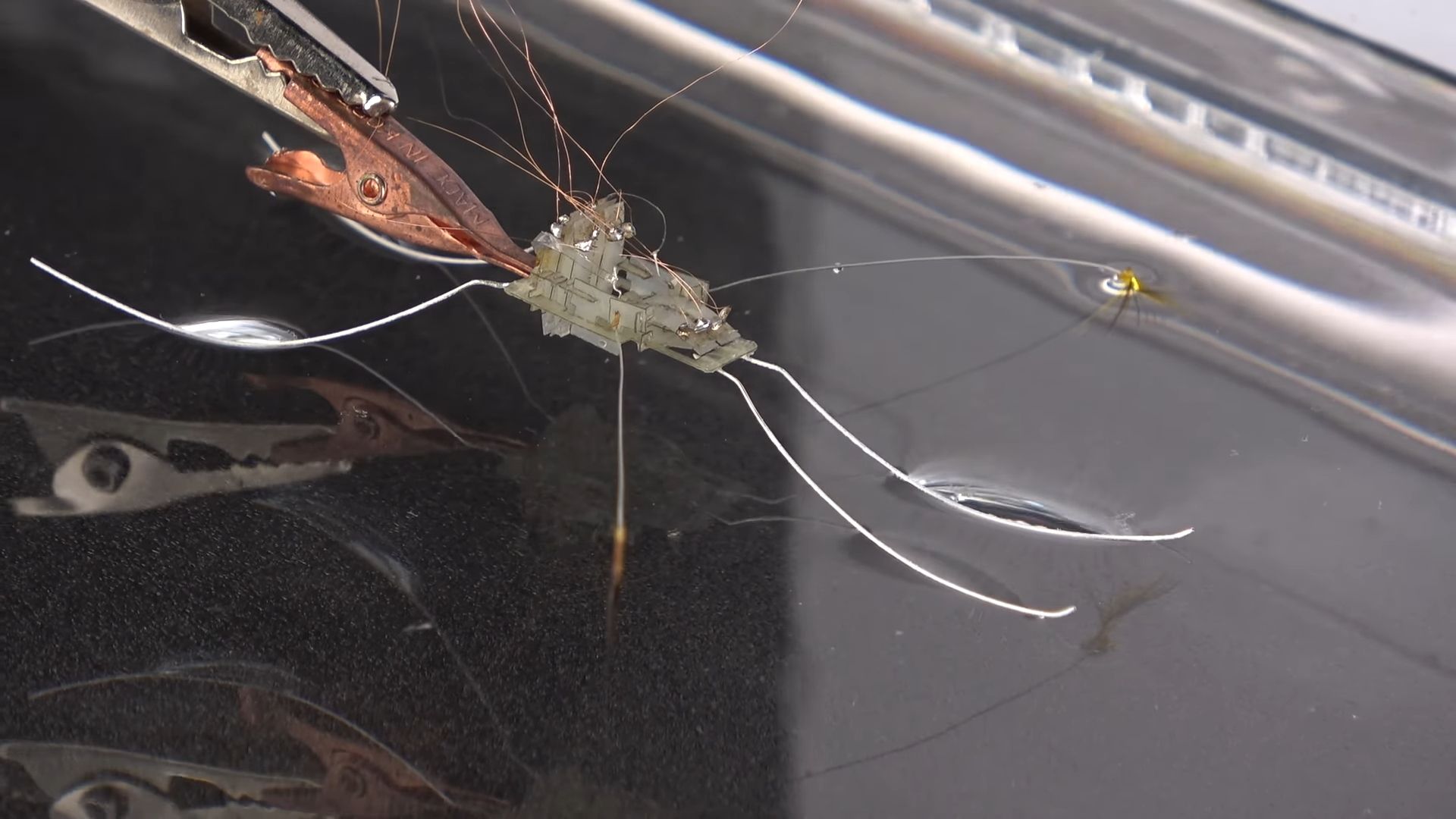 Робот що ходить по воді, натхненний комахою-водоміркою – нова технологія