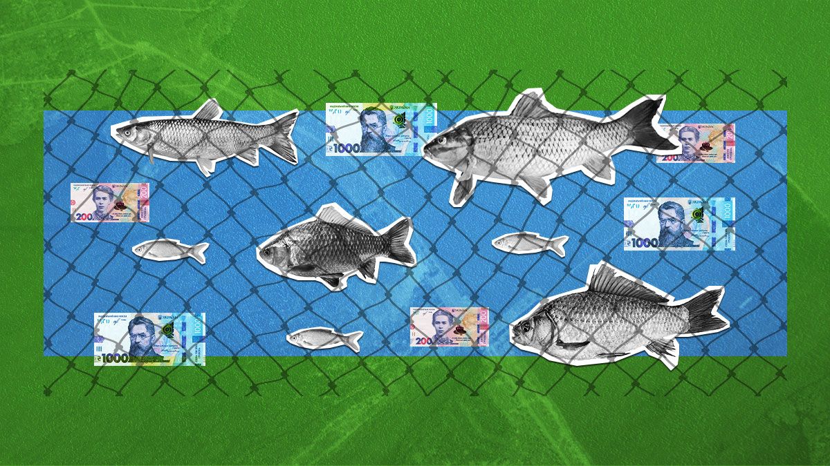 У якому стані рибальство У якому стані рибальство