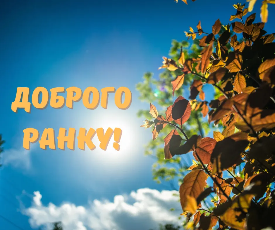 Как мило пожелать доброго утра Как мило пожелать доброго утра