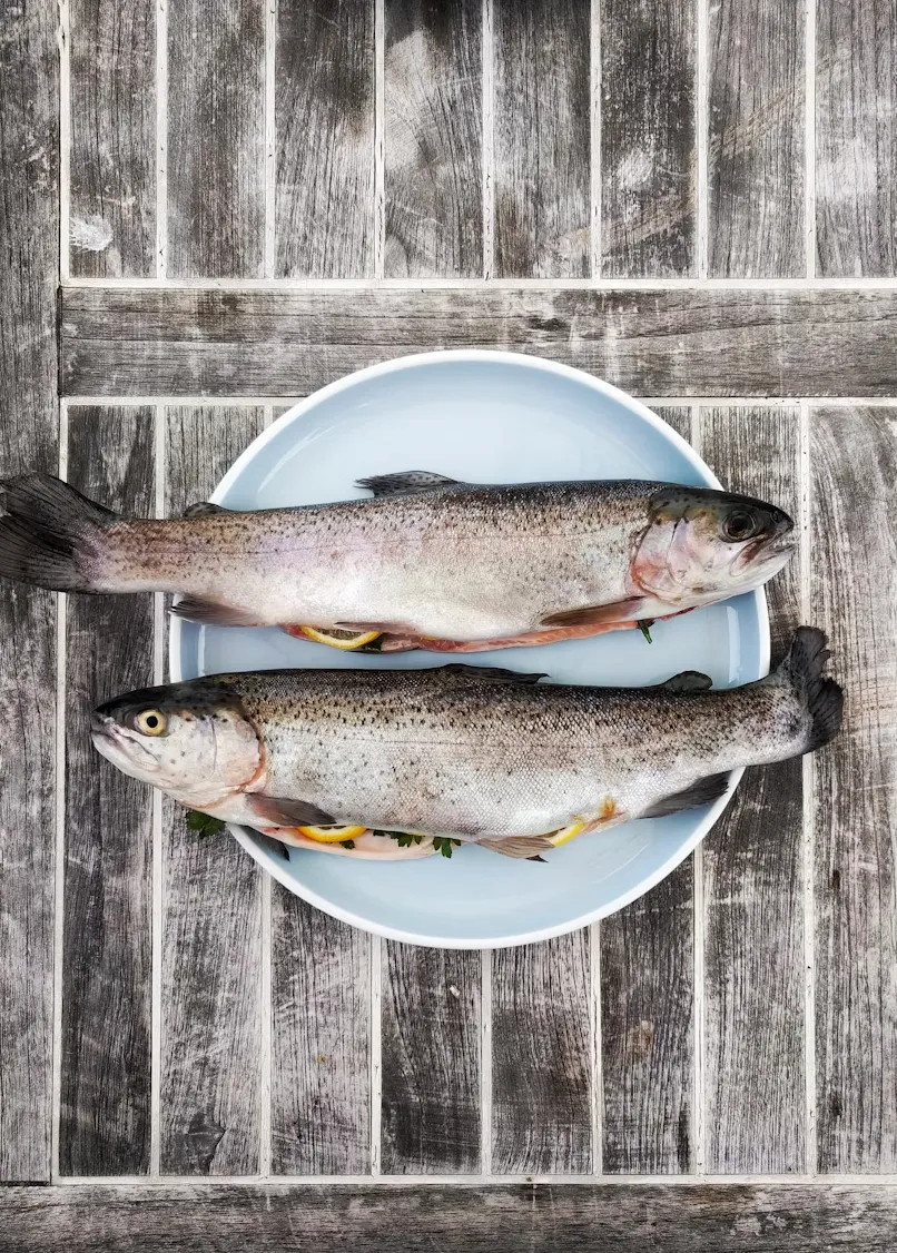 Ознаки свіжої риби