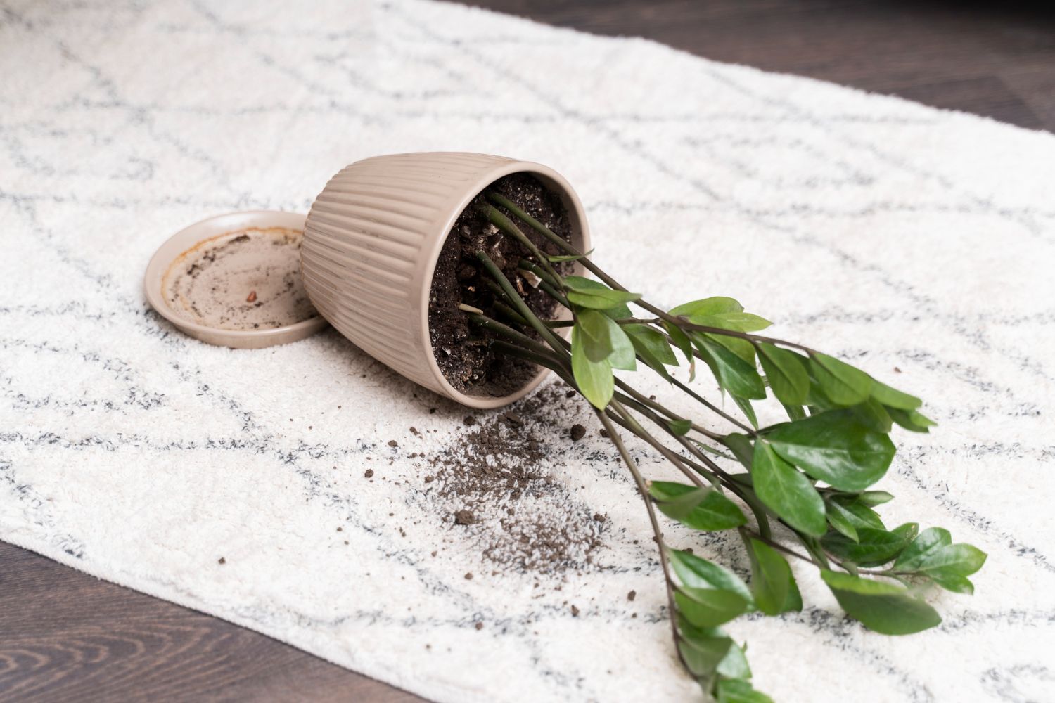 Розбиті горщики можуть стати у пригоді вдома Розбиті горщики можуть стати у пригоді вдома