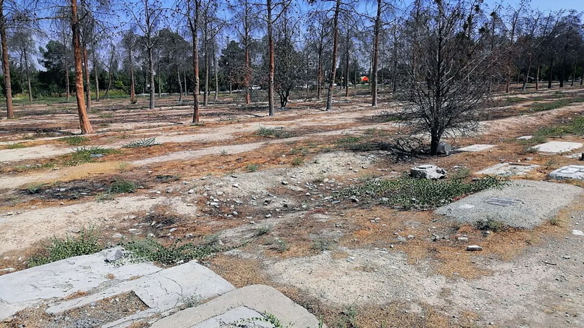 В Иране место захоронения казненных в 1979 году превращают в парковку - Геополитика