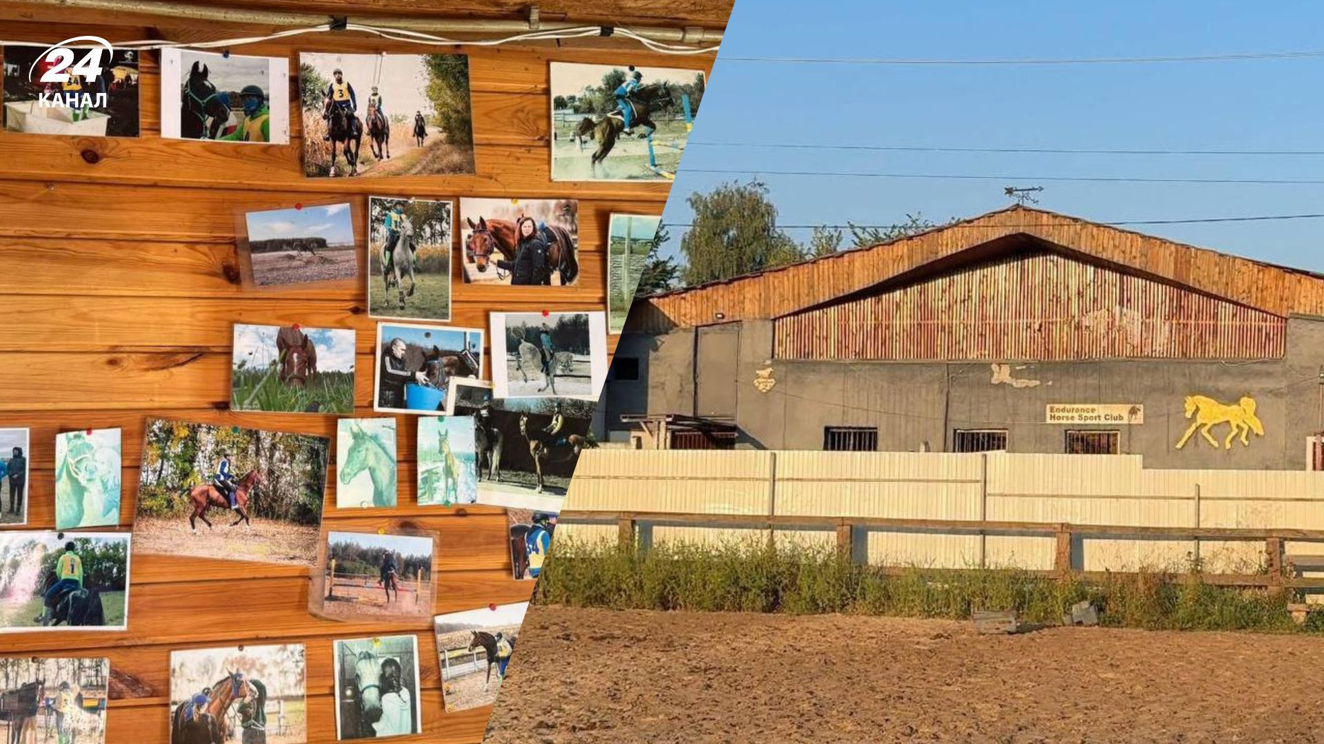 "Шахеды" попали в конный клуб на Киевщине: погибло много животных - Агро 24 "Шахеды" попали в конный клуб на Киевщине: погибло много животных - Агро 24