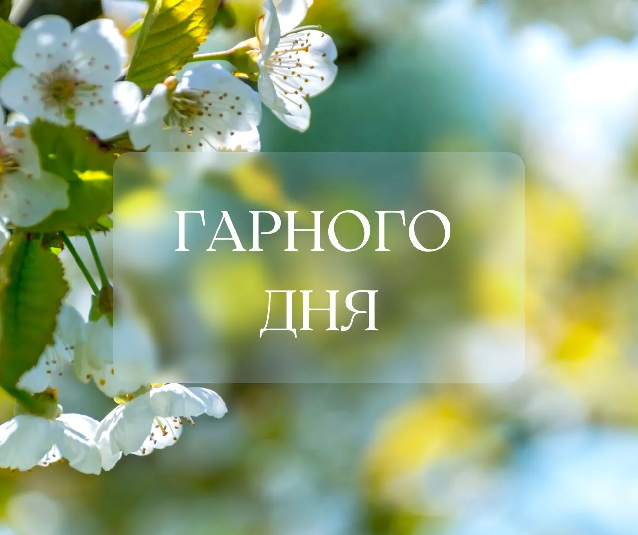 Побажання гарного дня Побажання гарного дня