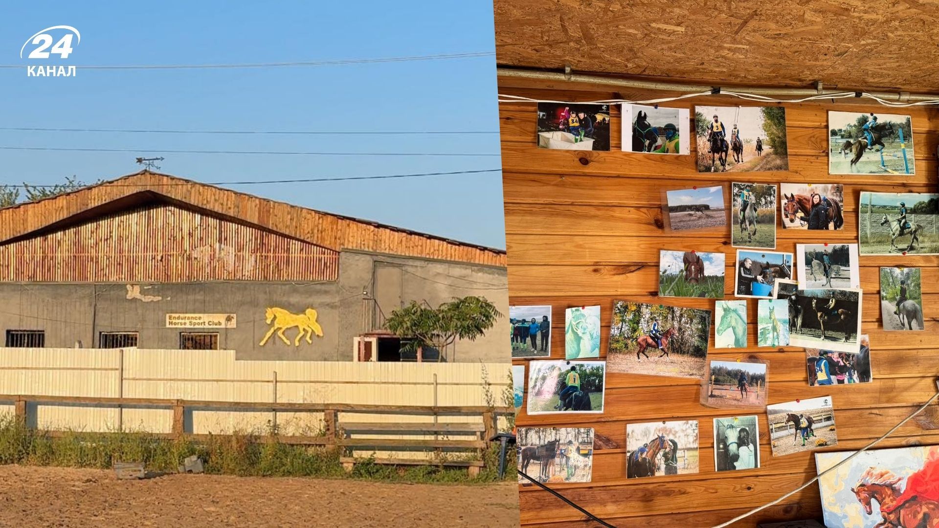 Кінний завод на Київщині збирає допомогу