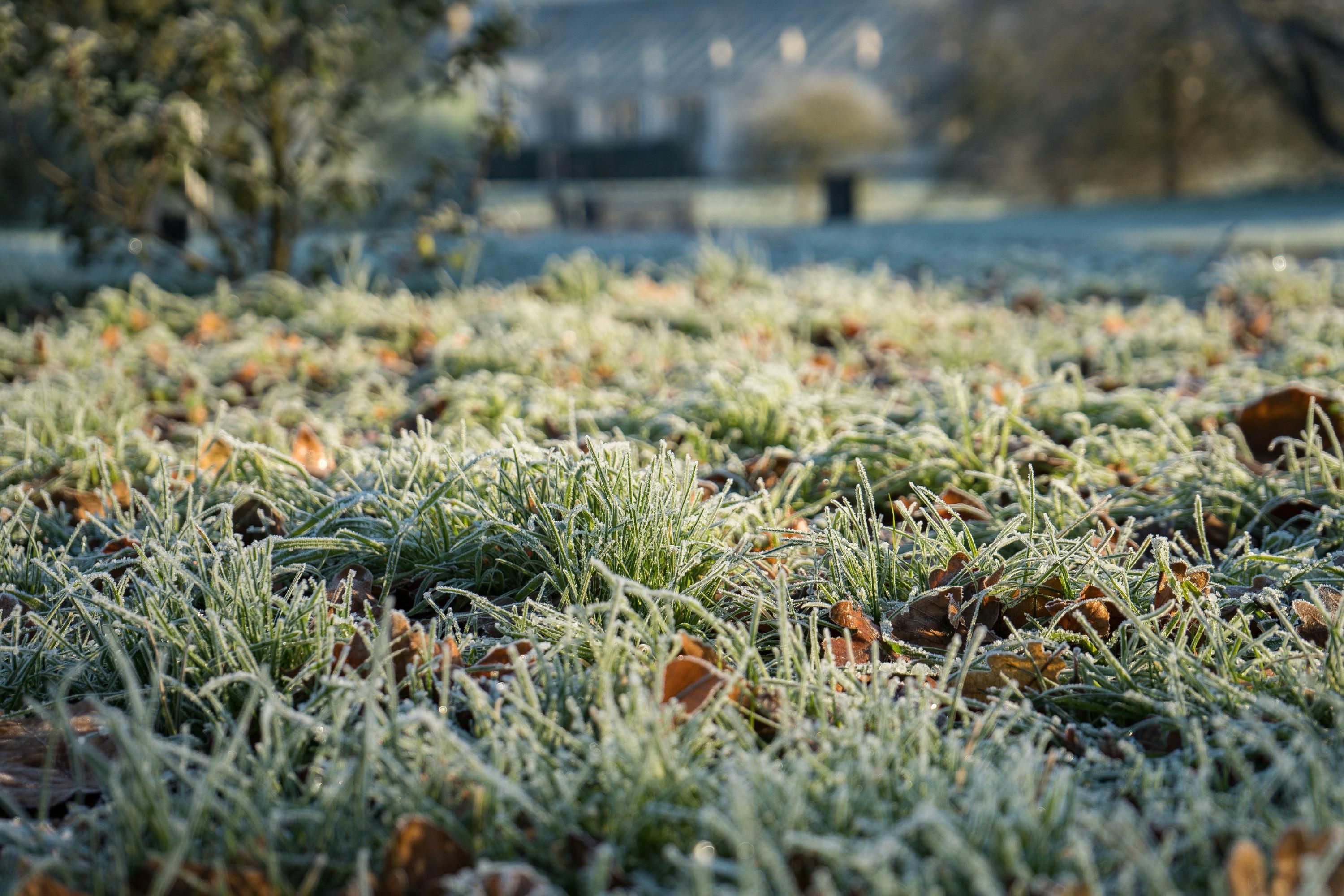 Заморозки в Украине Заморозки в Украине
