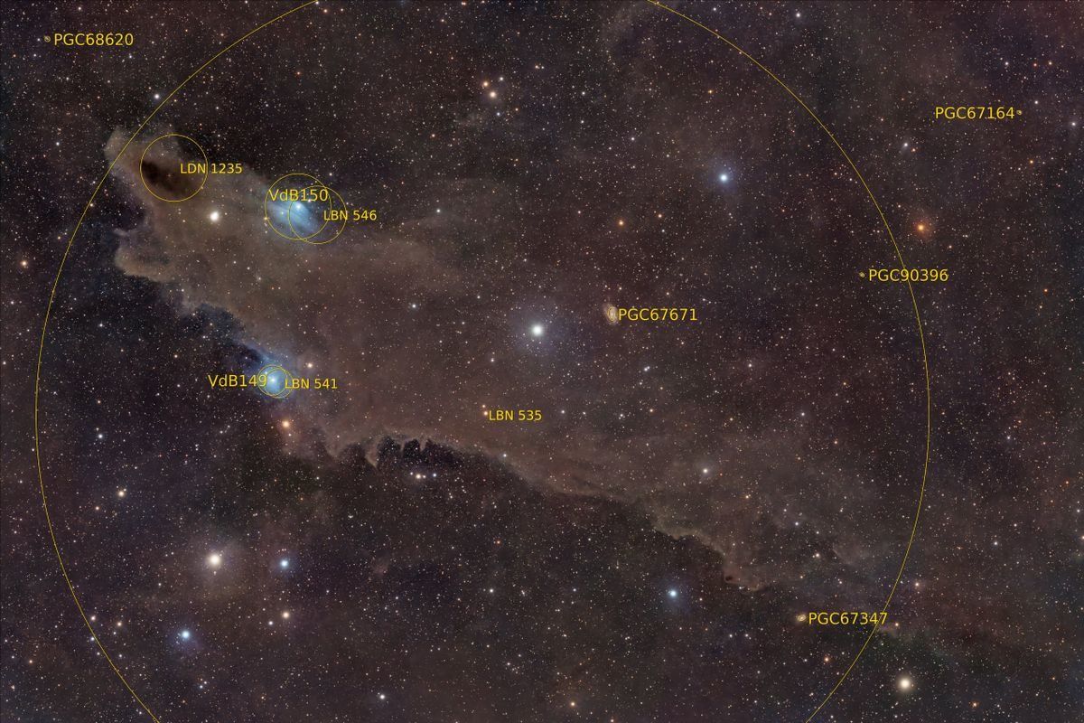 Астрофотограф показав "космічну акулу" у сузір'ї Цефея - Техно Астрофотограф показав "космічну акулу" у сузір'ї Цефея - Техно