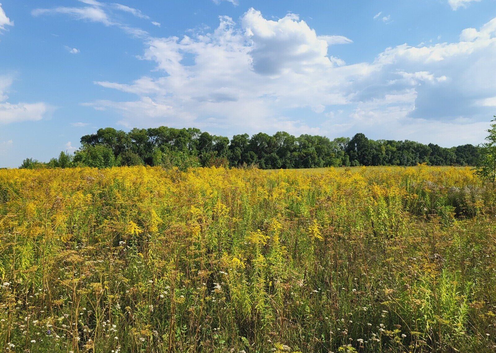 Обмін земельних ділянок Обмін земельних ділянок