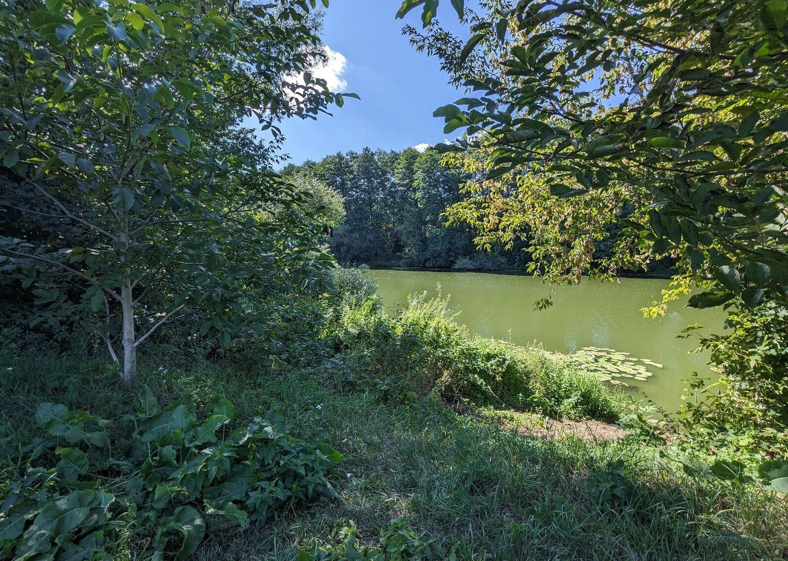 Земля біля річки Земля біля річки